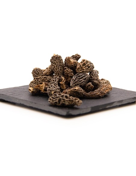 Morilles Spéciales | Epicime