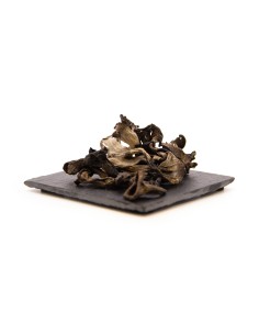 Achat Trompettes des Morts de qualité certifiée à prix juste !