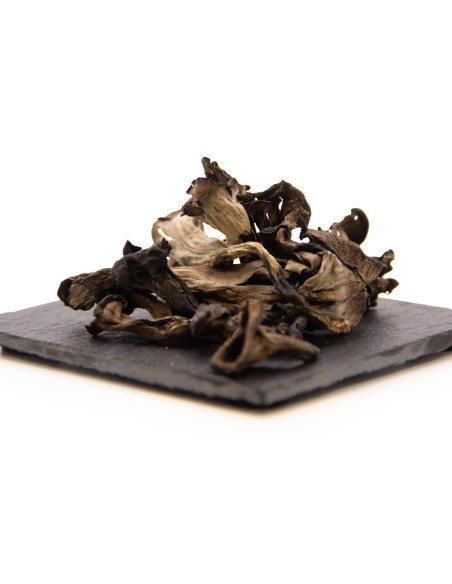 Achat Trompettes des Morts de qualité certifiée à prix juste !