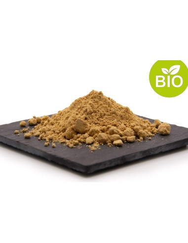 Gingembre Bio | Epicime