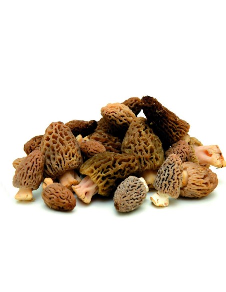 Morilles Traiteur : Achat et Conseils